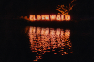 Beleuchtetes "Elbenwald"-Schild am Ufer eines Gewässers, reflektiert im Wasser. Die Szene zeigt eine magische Atmosphäre bei Nacht, ideal für das Elbenwald Festival, das Musik und Nerdkultur vereint.