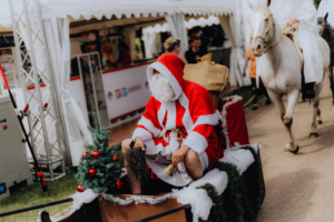 Ein verkleideter Weihnachtsmann sitzt in einem festlich dekorierten Schlitten auf dem Elbenwald Festival, umgeben von einer kleinen Tanne und einer Geschenktüte, während im Hintergrund Besucher und Pferde zu sehen sind.