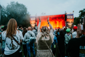 Festivalbesucher feiern begeistert auf dem Elbenwald Festival, umgeben von einer lebhaften Menge. Die Bühne strahlt in warmen Farben, während die Fans mit erhobenen Händen die Musik genießen und eine einzigartige Atmosphäre erleben.