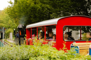 Bunte Dampflok mit Passagieren, die durch das Elbenwald Festival fährt. Umgeben von grünen Büschen und Bäumen, vermittelt die Szene eine festliche Atmosphäre und lädt Besucher zum Entdecken ein. Ideal für Fans von Musik und Fantasy.