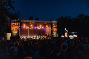 Elbenwald in Concert Bühne des Elbenwald Festivals bei Nacht, beleuchtet von bunten Lichtern. Eine große Menschenmenge genießt die Musikaufführung, während ein Orchester auf der Hauptbühne spielt. Im Hintergrund ist ein großes Banner des Festivals sichtbar.