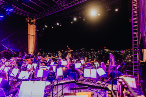 Elbenwald in Concert Blick auf die Bühne beim Elbenwald Festival, wo ein Orchester vor einem begeisterten Publikum spielt. Die Atmosphäre ist lebhaft, mit bunten Lichtern und einer Vielzahl von Instrumenten, die zu einem unvergesslichen musikalischen Erlebnis beitragen.