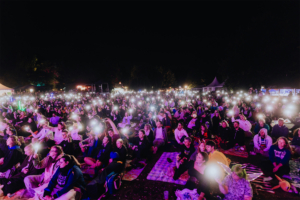 Elbenwald in Concert Eine große Menschenmenge sitzt auf dem Boden des Elbenwald Festivals, umgeben von bunten Lichtern. Viele Teilnehmer halten ihre Handys mit leuchtenden Displays hoch, während sie die Atmosphäre eines einzigartigen Musik- und Kulturereignisses genießen.