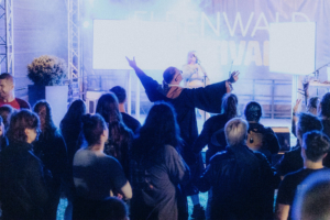 Ein begeistertes Publikum beim Elbenwald Festival, das einem Auftritt auf der Bühne folgt. Im Vordergrund steht eine Person in einem auffälligen Kostüm, während die Menge in festlicher Stimmung die Musik genießt. Bunte Lichter und eine entspannte Atmosphäre prägen die Szene.