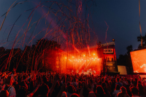 Versengold Menschenmenge beim Elbenwald Festival, die zur Musik tanzt und jubelt, während farbige Konfetti und Luftschlangen in die Luft fliegen. Die Bühne ist mit warmem Licht beleuchtet, und das Festival-Logo ist deutlich sichtbar. Ein unvergesslicher Moment voller Energie.
