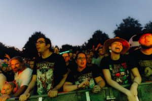 Versengold Menschenmenge beim Elbenwald Festival, die begeistert Musik hört. Teilnehmer tragen nerdige T-Shirts, darunter Motive von Bands und Anime. Die Atmosphäre ist lebhaft, mit Freude und Begeisterung in der Luft, während die Dämmerung einsetzt.