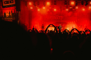 Versengold Menschenmenge beim Elbenwald Festival, die mit Händen Herzsymbole formt, während die Band Versengold auf der Bühne spielt. Die Atmosphäre ist festlich, mit rotem Licht und einer lebendigen Bühnenkulisse, die die Energie des Events widerspiegelt.