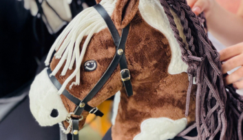 Hobby Horsing