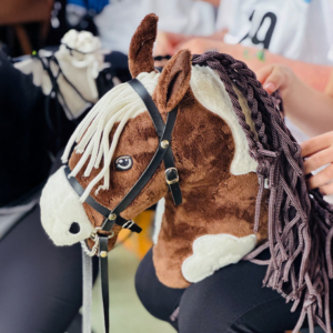 MTB Hobby Horsing MTB Hobby Horsing