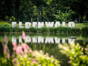Elbenwald-Festival